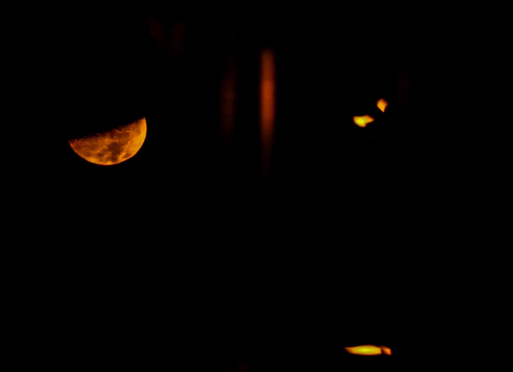 F9363C2B-C554-4DA0-AB9B-EF33F9123429